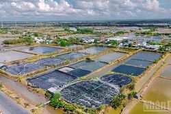 Vĩnh Long phát huy lợi thế kinh tế biển