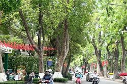 Cảnh báo nắng nóng, nắng nóng gay gắt ở khu vực Bắc Bộ, bắc và trung Trung Bộ