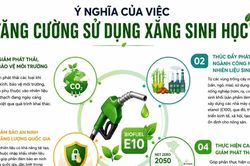 Triển khai toàn quốc xăng sinh học E10: Bộ Công thương cam kết bảo đảm quyền lợi người tiêu dùng