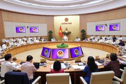 Cử người không đúng thành phần dự cuộc họp của Chính phủ sẽ bị phê bình công khai