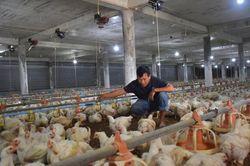 Nông dân TPHCM 'hái tiền' từ 'vũ trụ công nghệ'