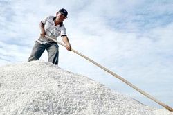Chuyện 'muối trải bạt' ở An Ngãi