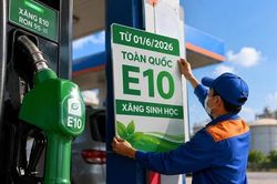 Những kẻ phá bĩnh về xăng E10