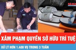 Trong 3 tuần, xử lý hơn 1.400 vụ xâm phạm quyền sở hữu trí tuệ