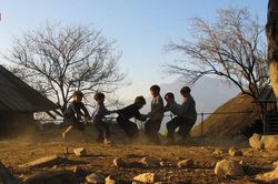 Li&ecirc;n hoan phim ch&acirc;u &Aacute; - Đ&agrave; Nẵng 2026: Nhịp cầu vươn tầm thế giới