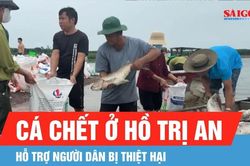 Hỗ trợ người dân bị thiệt hại do cá chết ở hồ Trị An
