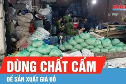 TPHCM: Khởi tố 4 bị can dùng chất cấm để sản xuất giá đỗ