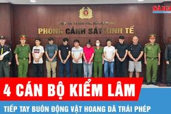 Khởi tố 4 cán bộ kiểm lâm tiếp tay buôn động vật hoang dã trái phép
