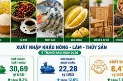 Xuất khẩu n&ocirc;ng, l&acirc;m, thủy sản đạt 30,69 tỷ USD trong 5 th&aacute;ng