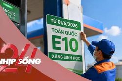 NHỊP SỐNG 24: Xăng sinh học E10 bán đại trà từ hôm nay, Bộ Công thương khuyến cáo người dùng điều gì?