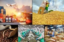 Tin tức kinh tế ngày 1/6: Xuất khẩu nông, lâm, thủy sản đạt gần 31 tỷ USD