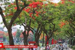 Thời tiết ngày 1/6: Bắc Bộ, Trung Bộ tăng nhiệt, nắng nóng gay gắt