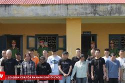 Sau lời yêu trên mạng là bẫy đầu tư tiền tỷ