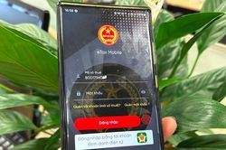 Cục Thuế nêu hướng xử lý việc người có nhiều mã số thuế
