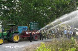 Chuyện ghi ở Lò Gò - Xa Mát: Những 'cột mốc sống' giữ rừng, giữ biên cương