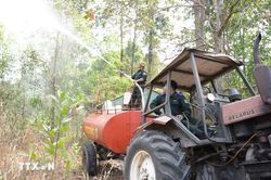 Chuyện ghi ở Lò Gò - Xa Mát: Những 'cột mốc sống' giữ rừng, giữ biên cương
