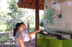 Chuyện ghi ở Lò Gò - Xa Mát: Những 'cột mốc sống' giữ rừng, giữ biên cương