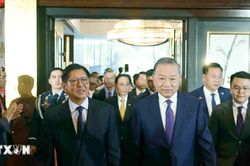 Tổng Bí thư, Chủ tịch nước Tô Lâm và Tổng thống Philippines dự Diễn đàn Doanh nghiệp Việt Nam-Philippines