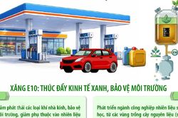 Tây Ninh siết chặt kiểm tra hoạt động kinh doanh xăng sinh học E10