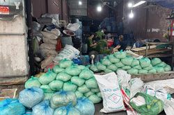 Khởi tố 4 bị can liên quan vụ sản xuất hơn 1.000 tấn giá đỗ chứa hóa chất cấm