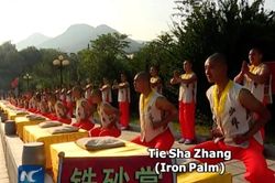 Người đàn ông sở hữu 'bàn tay sắt' dày 8 cm sau 20 năm khổ luyện Thiết Sa chưởng