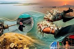 Theo chân người dân 'xóm Việt kiều' mưu sinh bên hồ Dầu Tiếng