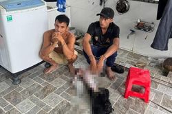 Tạm giữ 5 đối tượng săn bắn, xẻ thịt voọc quý hiếm