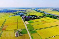 Bộ Tài chính đôn đốc địa phương sớm tính lại tiền sử dụng đất theo quy định mới
