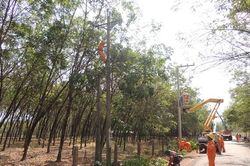 Lịch cắt điện Đồng Nai ngày mai 2/6 cập nhật mới nhất