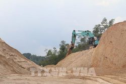 TP. Hồ Chí Minh yêu cầu kiểm soát chặt thị trường vật liệu xây dựng