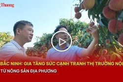 Bắc Ninh: Gia tăng sức cạnh tranh thị trường nội địa từ nông sản địa phương