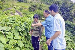 Đảng bộ xã Nhi Sơn tập trung lãnh đạo nâng cao đời sống người dân
