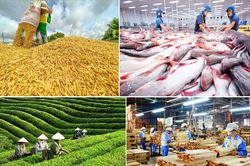 Xuất khẩu nông lâm thủy sản 5 tháng đầu năm 2026 đạt hơn 30,6 tỷ USD