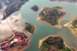 Cấm Sơn xanh hơn