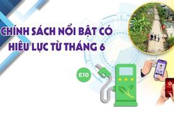 Chính sách nổi bật có hiệu lực từ tháng 6