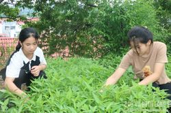 Dưới mái nhà Hy vọng