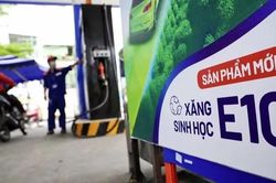 Toàn quốc áp dụng xăng E10: Chủ xe cần lưu ý gì để tránh sự cố?