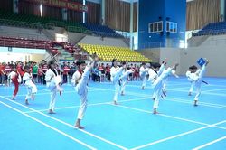 Khai mạc các hoạt động thể thao hè năm 2026