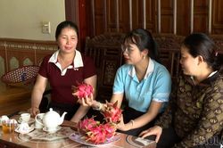 Thanh long ruột đỏ ở xã Quy Mông