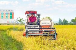 Hợp tác xã góp phần nâng cao đời sống người dân ở Bắc Bình