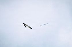 Xu hướng chuyển dịch từ UAV cánh quạt sang tên lửa giá rẻ trong không chiến hiện đại