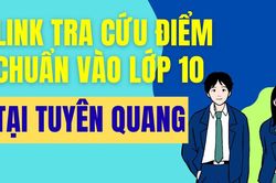 Link tra cứu điểm thi vào 10 năm 2026-2027 tại Tuyên Quang