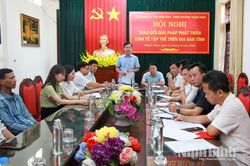 Trao đổi giải pháp phát triển kinh tế tập thể trên địa bàn tỉnh