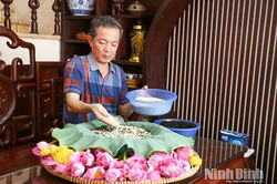 Sen ướp trà, hiệu quả kinh tế trên vùng đất trũng