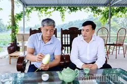 Hương sen gọi mùa
