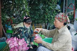 Hương sen gọi mùa