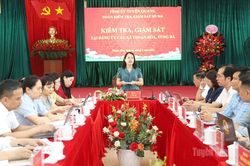 Đo&agrave;n kiểm tra, gi&aacute;m s&aacute;t của Ban Thường vụ Tỉnh ủy l&agrave;m việc với Ban Thường vụ Đảng ủy c&aacute;c x&atilde; tr&ecirc;n địa b&agrave;n tỉnh