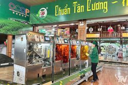 Chuyển đổi xanh cho thương hiệu chè Thái