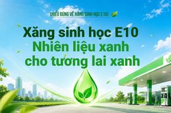 Xăng E10 - Nhiên liệu sinh học cho tương lai xanh Việt Nam