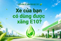 Xe của bạn có dùng được xăng E10?